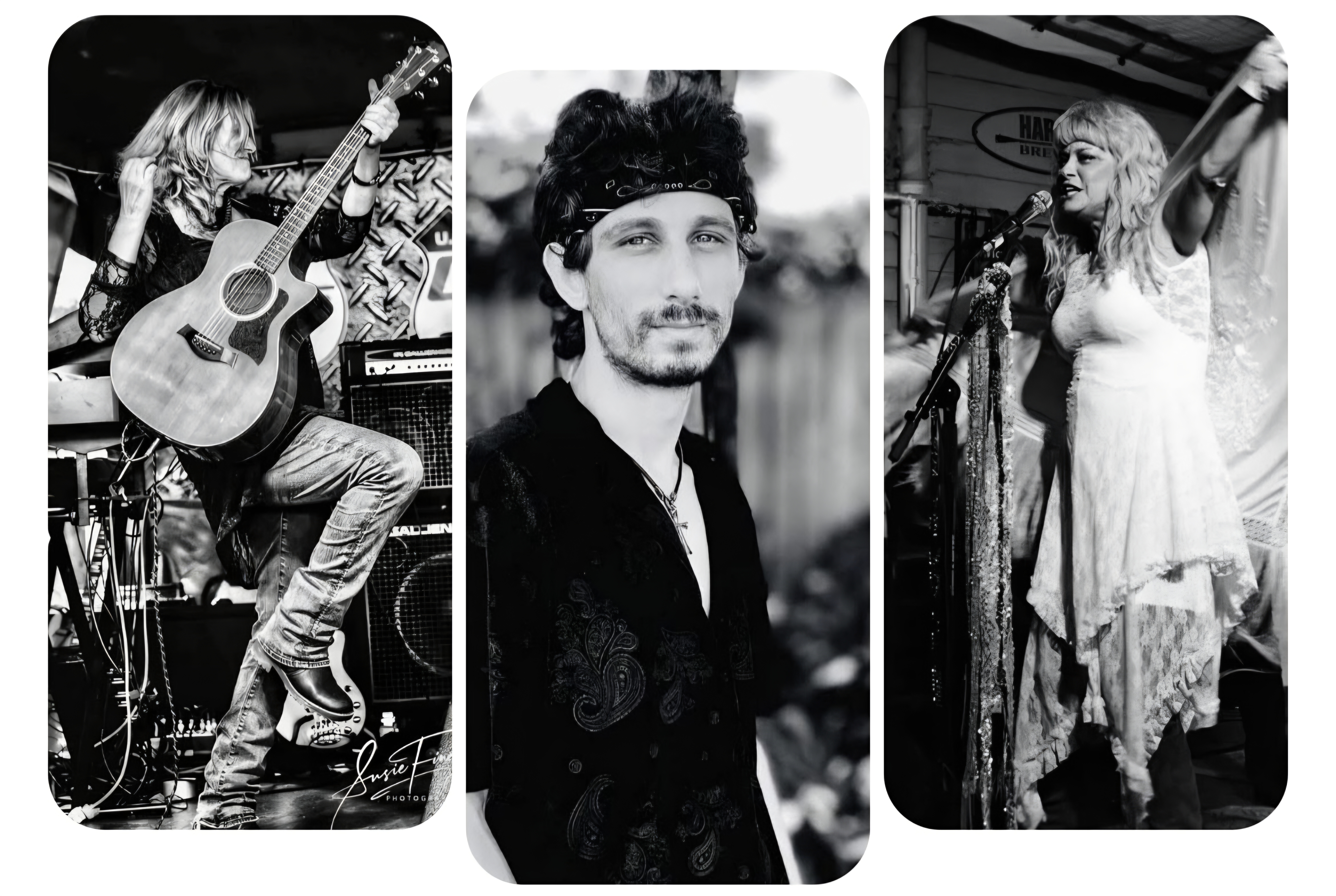 The Ultimate Trio Tribute to Stevie Nicks and Fleetwood Mac!